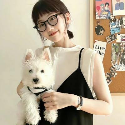 刑事7人 第八季